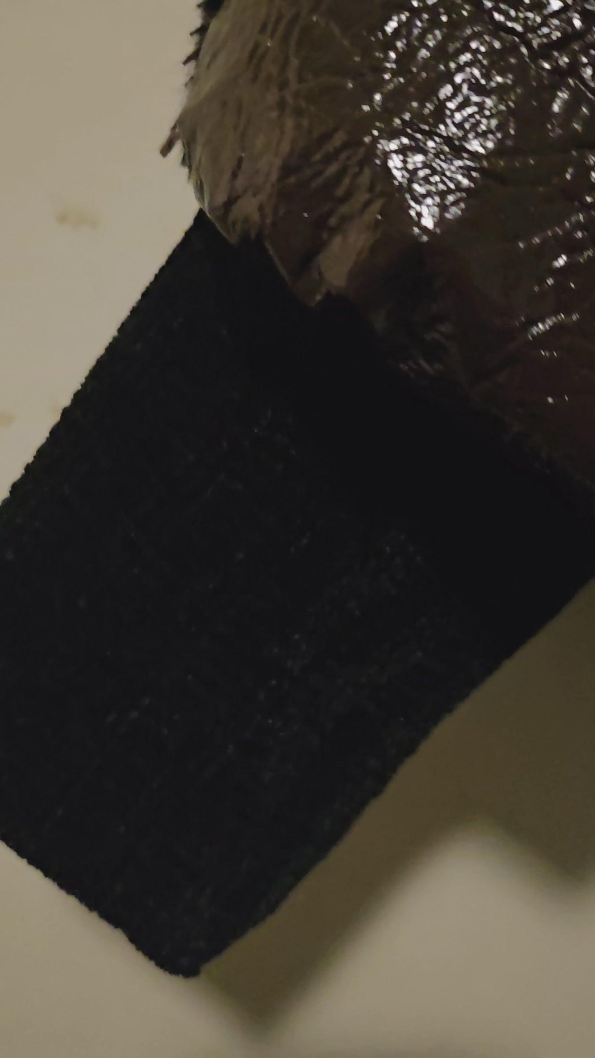 video of Faux fur and patent leather bomber jacket with stud details